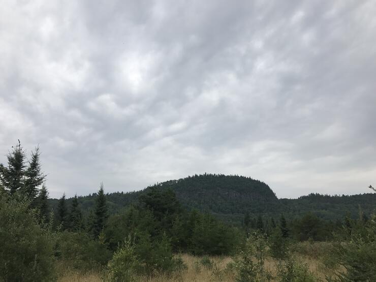 Border Trails at Pigeon River Northern Ontario Travel